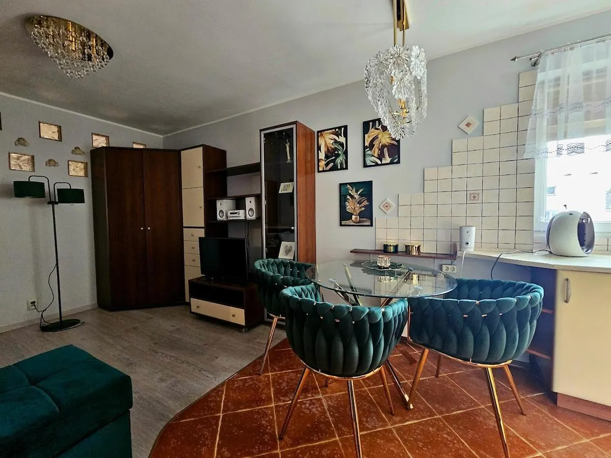 Glamour Apartment Πόζναν 0*,